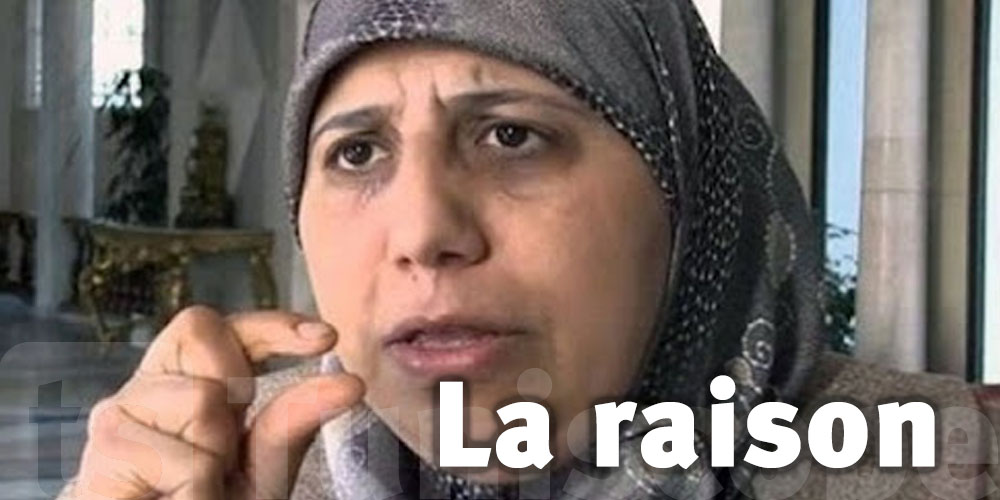 Tunisie : Encore une fois, Zoghlami provoque les internautes 