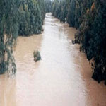 تضرّر نحو 4000 هكتار من الفيضانات