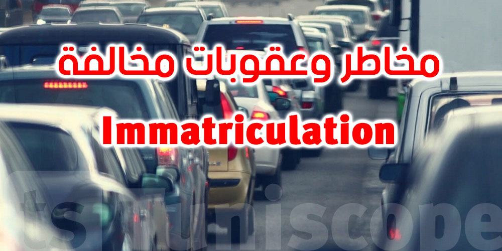 تحذير لسائقي السيارات: مخاطر وعقوبات مخالفة مواصفات لوحات الترقيم (Immatriculation )