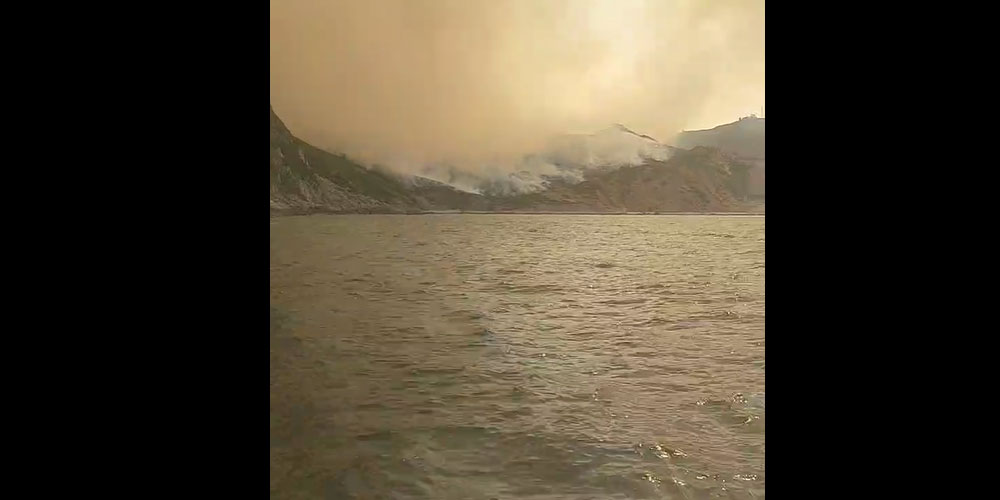 Triste vidéo : Regardez comment l’incendie se propage à Tabarka 